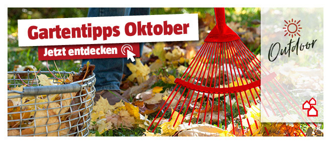 Gartentipps für Oktober entdecken