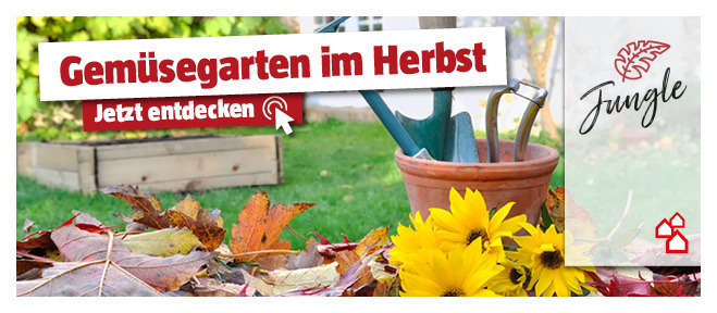 Tipps und Ideen zum Gemüsegarten einwintern entdecken