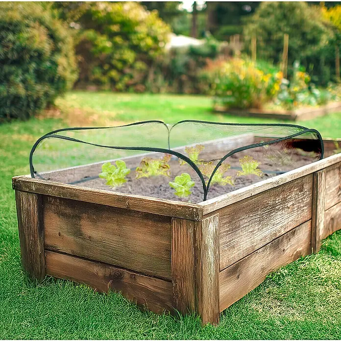 Windhager Hochbeet-Abdeckung Pop up Cube - L x B x H: 95 x 95 x 30 cm, Transparent/Grün, Kunststoff - Nahaufnahme eines Hochbeets mit einem Minigewächshaus-Abdeckrahmen über jungen Salatpflanzen, idyllisch im Garten platziert.
