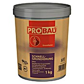 Probau Grundierung Schnell (1 kg) | BAUHAUS