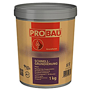 Probau Grundierung Schnell (1 kg)