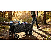 Zložljiv voziček za na plažo  (Do x Š x V: 102 x 66 x 76 cm, Nosilnost: 60 kg) | 1590 - Sonstige Nautic-Produkte | ABIR - Sonstige Nautic-Produkte | ABI - Nautic | AB - Nautic | A - Eisenwaren | BAUHAUS