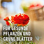 Compo Balkonblumendünger (2,5 l, Flüssigdünger) | BAUHAUS