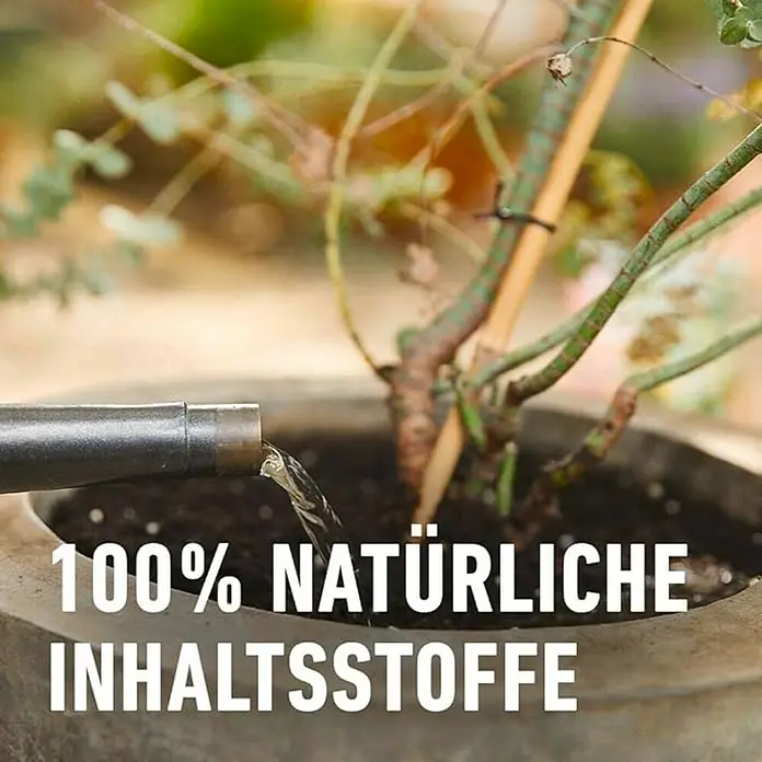 Compo Bio Mediterranpflanzen-Dnger - 500 ml online kaufen bei BAUHAUS