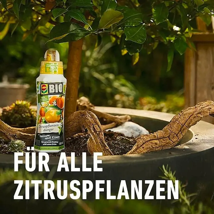 künstlicher hellgrüner saphir kreuzworträtsel Allgäuer Heilkräuterkerze Trost main image 0