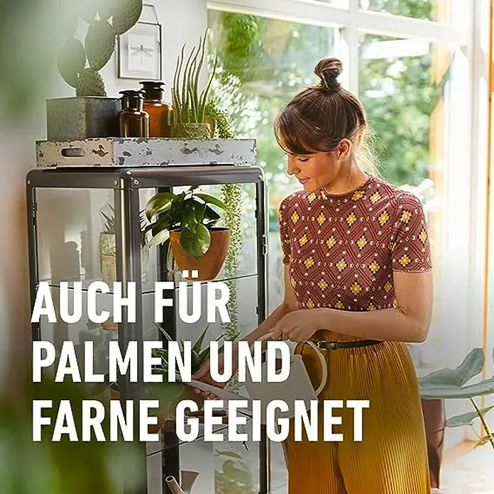 Compo Grünpflanzen-Düngestäbchen - 30 Stk. - Zimmergewächshaus: Ideal für Palmen & Farne. Stilvolles Design, perfekte Umgebung für Pflanzenwachstum. Robust und ästhetisch ansprechend.