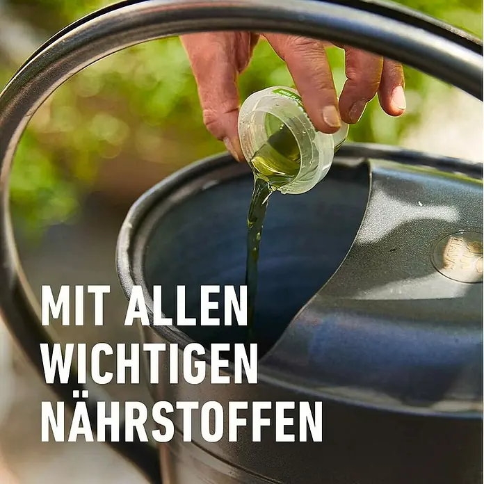 Compo Rosendünger - 1 l - Ein Mann gießt flüssigen Pflanzendünger mit allen wichtigen Nährstoffen in eine graue Gießkanne, um seine Pflanzen optimal zu versorgen.