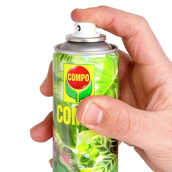 Compo Blattglanz - 300 ml - Ein COMPO Pflanzenspray in der Hand, bereit zur Anwendung. Ideal für die Pflege und den Schutz Ihrer Zimmerpflanzen vor Schädlingen und Krankheiten.