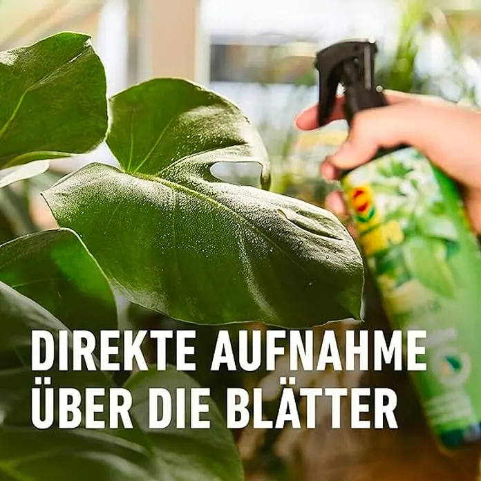 Compo Blattpflege - Geeignet für: Grünpflanzen, 500 ml - Detailaufnahme von der Anwendung eines Pflanzensprays auf grüne Blätter, ideal zur Pflege und zum Schutz der Pflanzen.