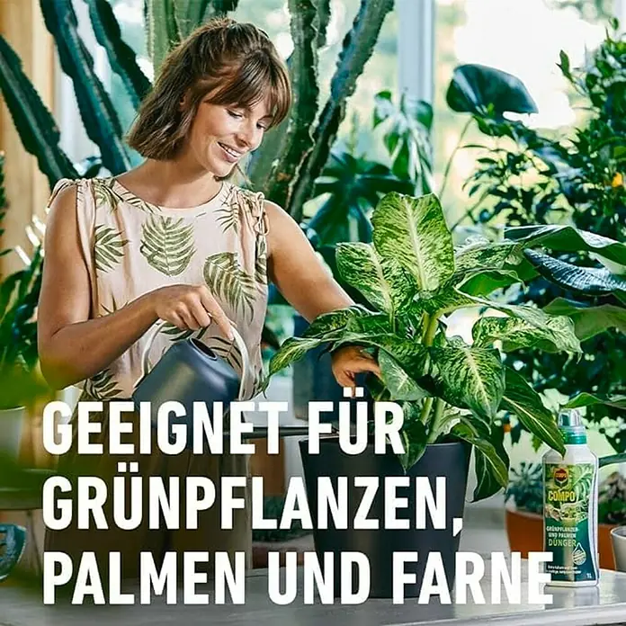 Compo Universaldünger - 1 l - Frau gießt eine Zimmerpflanze mit Compo Grünpflanzen-, Palmen- und Farndünger.