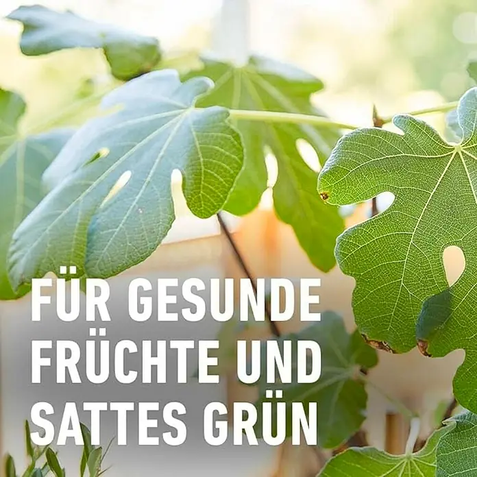 Compo Bio-Zitrusdnger - 0,5 l online kaufen bei BAUHAUS