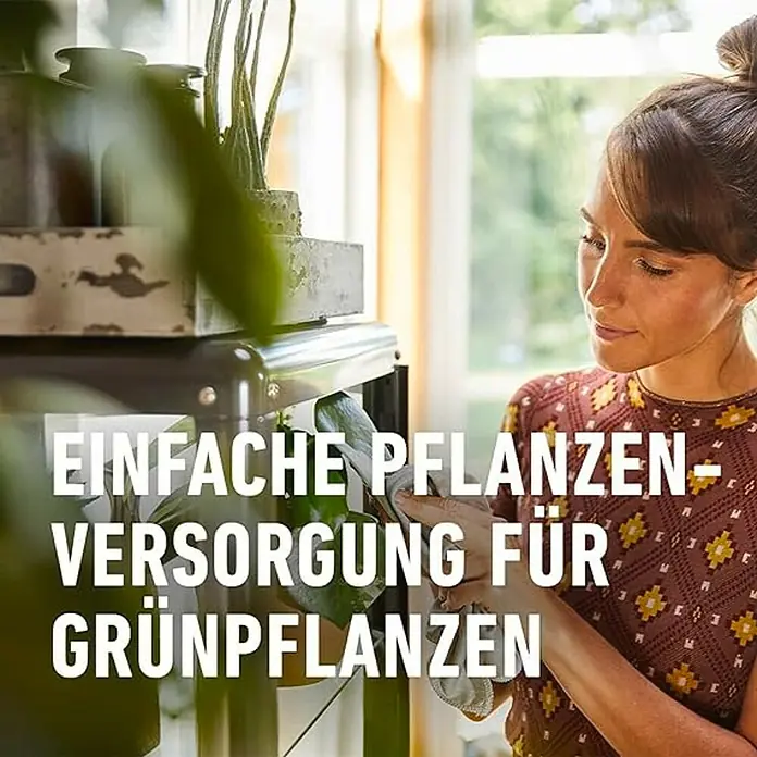 Compo Grünpflanzen-Düngestäbchen - 30 Stk. - Frau pflegt Zimmerpflanzen. Einfache Pflanzenpflege für Zimmerpflanzen, um die Blätter sauber und gesund zu halten.