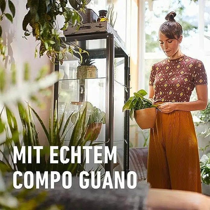 Compo Grünpflanzen-Düngestäbchen - 30 Stk. - Eine Frau hält eine Topfpflanze in einem Raum mit einem schwarzen Schrank voller Pflanzen. Im Vordergrund ist Werbung.