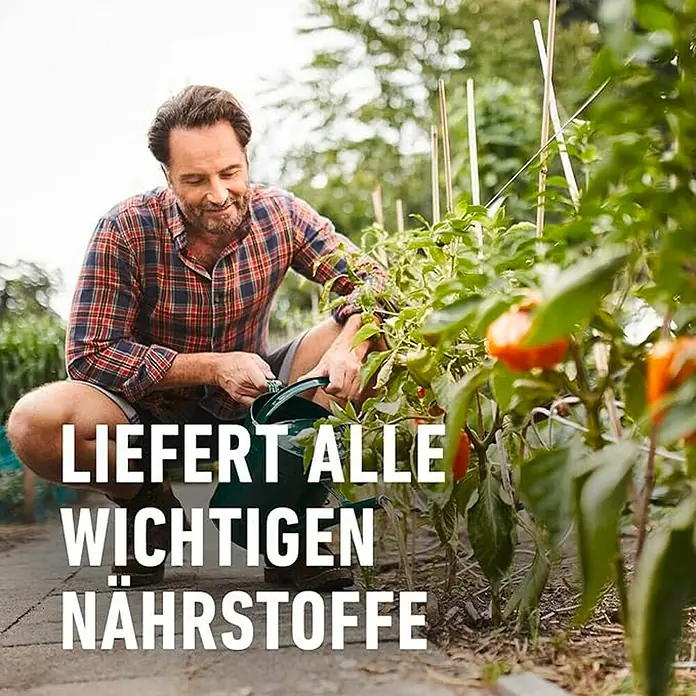 Compo Bio-Obst- & Gemsednger - 1 l online kaufen bei BAUHAUS