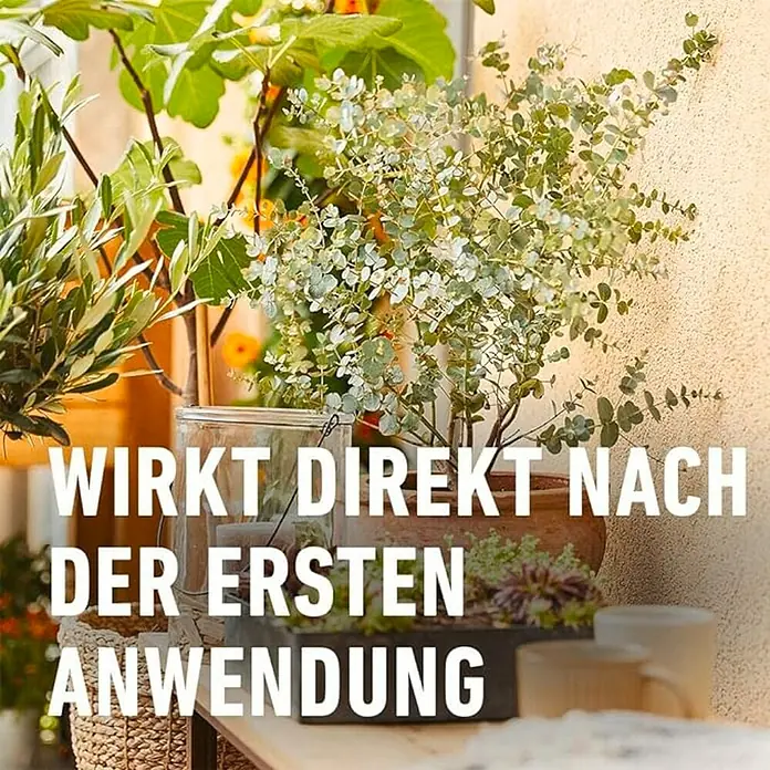 Compo Bio-Zitrusdünger - 0,5 l - Pflanzenarrangement mit Textoverlay "Wirkt direkt nach der ersten Anwendung" auf einer rustikalen Oberfläche.
