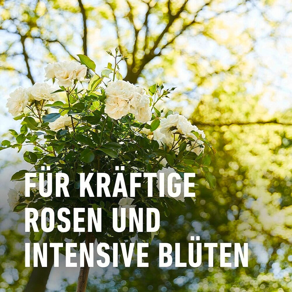 Compo Rosendnger - 1 l online kaufen bei BAUHAUS