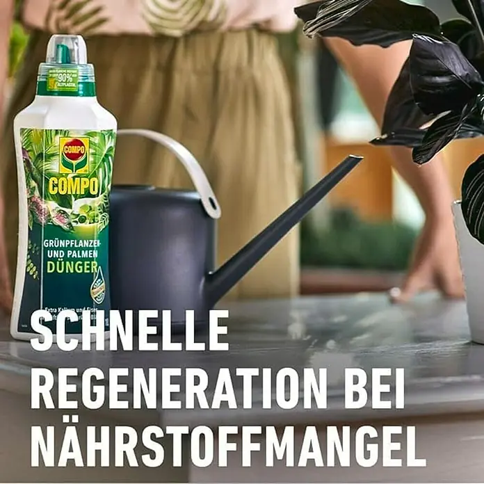 Compo Universaldünger - 1 l - Compo Grünpflanzen und Palmendünger für schnelle Regeneration bei Nährstoffmangel neben einer Gießkanne.