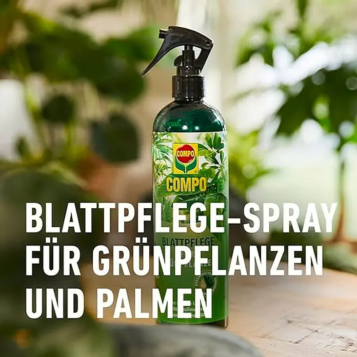Compo Blattpflege - Geeignet für: Grünpflanzen, 500 ml - COMPO Blattpflege-Spray für Grünpflanzen und Palmen. Das ideale Produkt für die Pflege und Erhaltung von Zimmerpflanzen und Palmen.