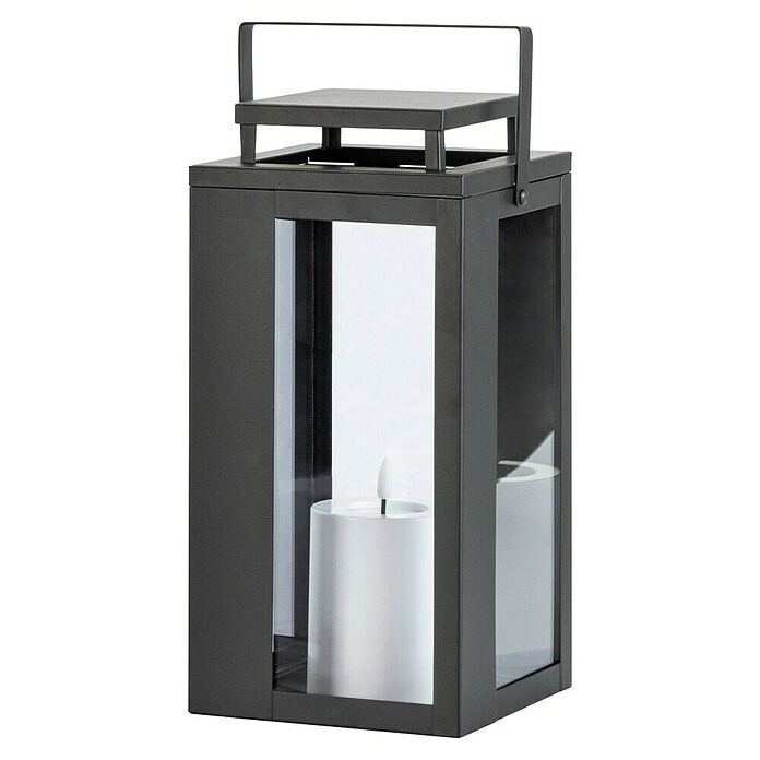 LED-Laterne Lucido (15 x 15 x 31 cm, Schwarz) | BAUHAUS