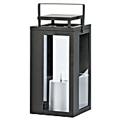 LED-Laterne Lucido (15 x 15 x 31 cm, Schwarz) | BAUHAUS