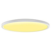 Philips Hue LED-Panel rund White & Color Ambiance Tento M (23 W, Ø x H: 42,1 x 3,07 cm, Weiß, RGBW) | BAUHAUS