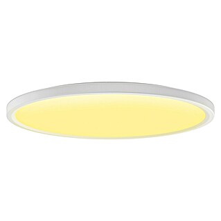 Philips Hue Okrogel LED panel (23 W, Ø x V: 42,1 x 3,07 cm, RGBW)