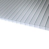 PC-Hohlkammerplatte (250 cm x 98 cm x 16 mm, Polycarbonat, Transparent)