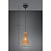 Trio Lighting Lámpara colgante Bijou (10 W, L x An x Al: 20 x 20 x 150 cm, Marrón, E27, 1 ud.) | BAUHAUS