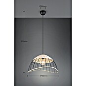 Trio Lighting Lámpara colgante redonda Sandrine (28 W, Ø x Al: 48 x 150 cm, Negro, E27) | BAUHAUS