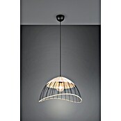Trio Lighting Lámpara colgante redonda Sandrine (28 W, Ø x Al: 48 x 150 cm, Negro, E27) | BAUHAUS