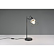 Trio Lighting Lámpara de sobremesa redonda Jerome (10 W, Ø x Al: 16 x 50 cm, Negro, E27) | BAUHAUS