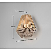 Trio Lighting Aplique de pared LED Lira (1,5 W, L x An x Al: 13 x 18,5 x 19 cm, Beige, 140 lm) | BAUHAUS