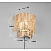 Trio Lighting Aplique de pared Satna (25 W, L x An x Al: 14 x 24,5 x 24,5 cm, Marrón, E27) | BAUHAUS