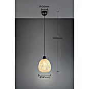 Trio Lighting Lámpara colgante redonda Amelie (10 W, Ø x Al: 18 x 150 cm, Negro, E27) | BAUHAUS