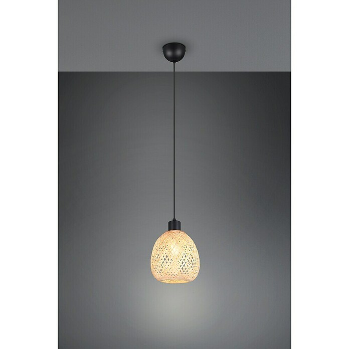 Trio Lighting Lámpara colgante redonda Amelie (10 W, Ø x Al: 18 x 150 cm, Negro, E27) | BAUHAUS