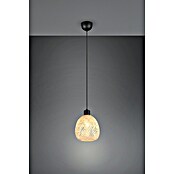 Trio Lighting Lámpara colgante redonda Amelie (10 W, Ø x Al: 18 x 150 cm, Negro, E27) | BAUHAUS