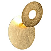 Reality Leuchten Okrugla zidna svjetiljka Leano  (Ø x V: 18 x 7,5 cm, Zlatna) | BAUHAUS