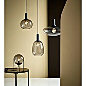Nordlux Alton Tafellamp (Zwart, Rookglas, E14, Ø x h: 20 x 39 cm) | BAUHAUS