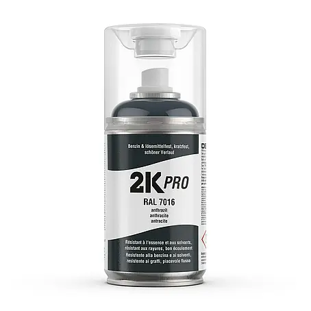 2K Pro  Farbspray 2 Komponenten Sprühfarbe 250ml RAL7016 Anthrazit Glanz