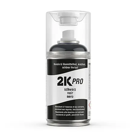 2K Pro  Farbspray 2 Komponenten Sprühfarbe 250ml RAL9005 Tiefschwarz Glanz