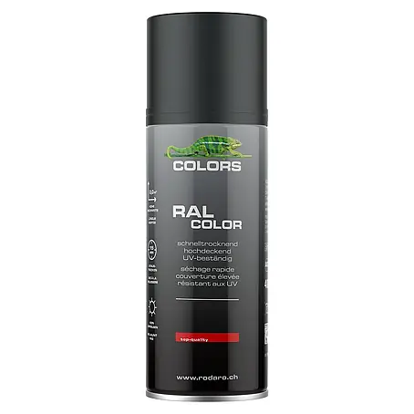 Colors  Farbspray Sprühlack 400ml Schwarz Matt