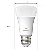 Philips Hue Smart-ledlamp White Ambiance 1100 (E27, Dimbaar, 1.100 lm, 13,5 W) | BAUHAUS