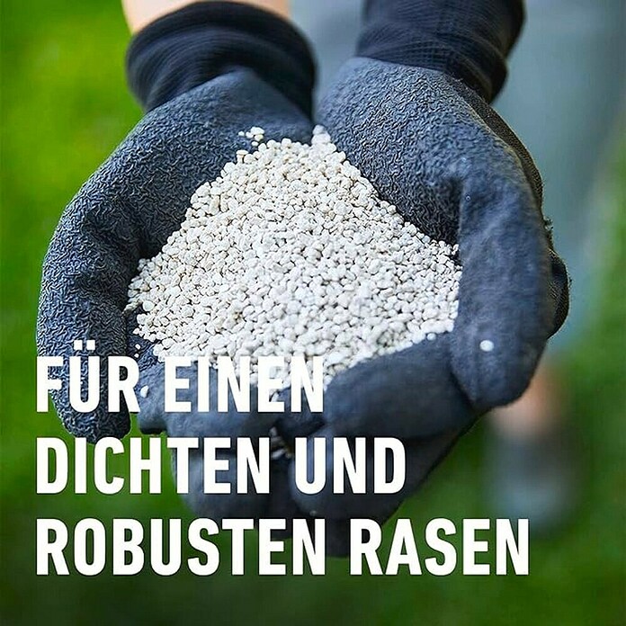 Compo Rasendünger (3 kg) | BAUHAUS