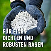 Compo Rasendünger (3 kg) | BAUHAUS