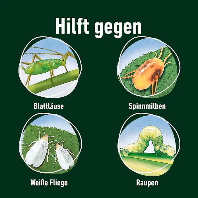 Compo Bio-Schädlingsfrei Plus AF - 500 ml - Hilft gegen Blattläuse, Spinnmilben, Weiße Fliege und Raupen.