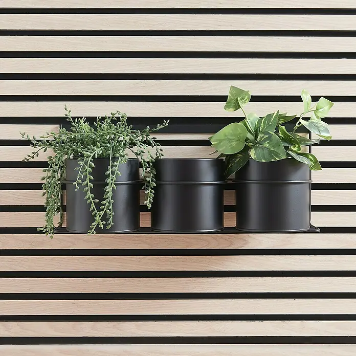 Regalleiste - L x B x H: 13 x 40 x 20,5 cm, Passend für: Akustikpaneele, Montageart: Einhängen - Wandregal mit drei schwarzen Pflanzgefäßen, die mit grünen Pflanzen auf einem modernen Holzpaneel gefüllt sind. Stilvolle Dekoration für Innenräume.