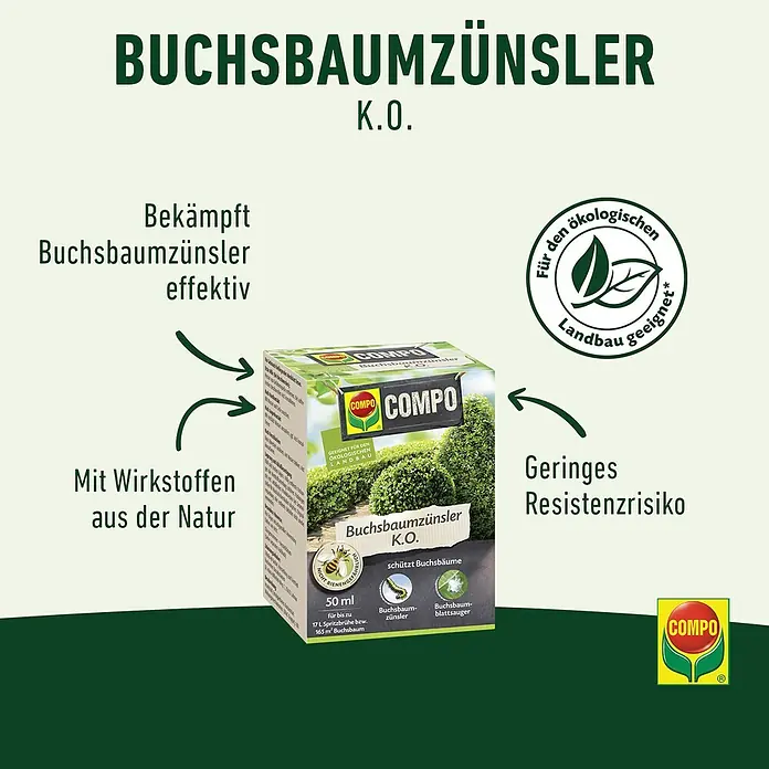 Compo Insektenschutzmittel Buchsbaumzünsler K.O. - 50 ml - COMPO Buchsbaumzünsler K.O. zur effektiven Bekämpfung von Buchsbaumzünslern und Buchsbaum-Blattsaugern mit natürlichen Wirkstoffen.