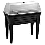 Visoka greda s pokrovom  (80 x 40 x 83 cm, Plastika, Antracit) | 7493 - Hochbeete | IAGG - Gartenartikel | IAG - Außenbereichsausstattung | IA - Gartenhartware | I - Stadtgarten | BAUHAUS
