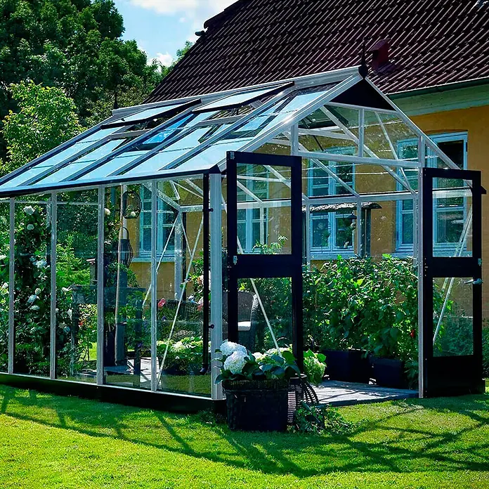 Juliana Gewächshaus Premium - Außenmaß inkl. Dachüberstand (B x T): 296 x 368 cm, Material Seitenwand: Glas, 3 mm, Silber/Schwarz - Ein geräumiges Gewächshaus mit Glaswänden und einem schwarzen Rahmen, das Pflanzen und Gemüse beherbergt. Es steht auf einem grünen Rasen.