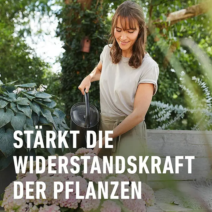 Compo Hortensiendünger - 1 l - Frau gießt mit einer Gießkanne Pflanzen im Garten, um ihre Widerstandskraft zu stärken.\n